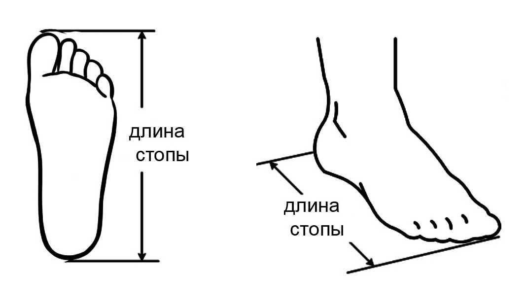 Длина стопы